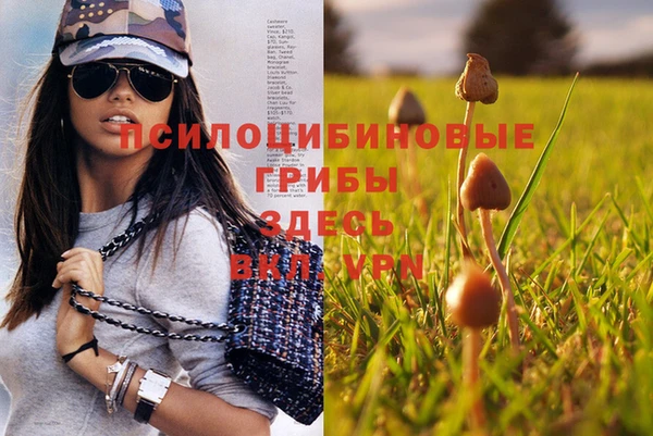 марки nbome Алзамай