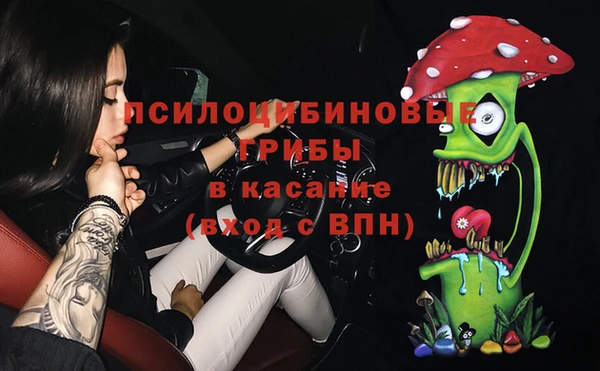 ПСИЛОЦИБИНОВЫЕ ГРИБЫ Армянск
