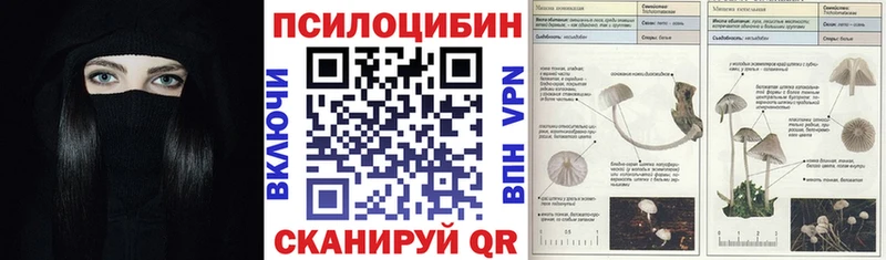 как найти закладки  Моздок  Псилоцибиновые грибы GOLDEN TEACHER 
